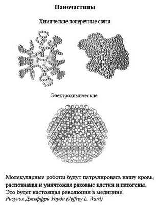 Моторизованные молекулы просверливают клетки: наномашины, созданные для доставки лекарств, уничтожают больные клетки