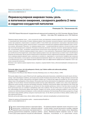 Новые исследования метаболизма жировых клеток могут привести к новым способам лечения диабета и ожирения