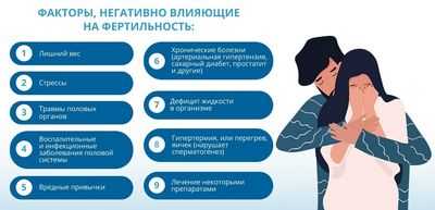 Женская фертильность зависит от функциональной экспрессии убиквитинлигазы E3. Зуд