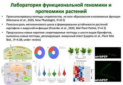 Выявлена ​​структура белкового комплекса, который играет ключевую роль в модуляции иммунной системы: поиску новых лекарств от воспалительных заболеваний может способствовать детальная структура отдельного комплекса убиквитинлигазы