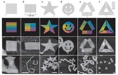 ДНК-оригами: визуализация отдельных гибких &laquo;строительных блоков&raquo; ДНК в трехмерном пространстве: исследователи создают первые изображения 129 структур ДНК
