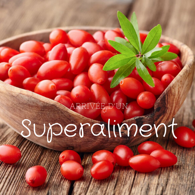 У более старых мышей, которых кормили ягодами лайчи, снижается риск заражения вирусом гриппа при вакцинации