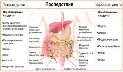 Диета влияет на смесь кишечных бактерий, риск воспалительного заболевания костей