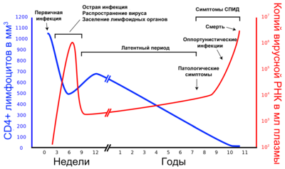 Инфекция несколькими вариантами ВИЧ-1 приводит к ухудшению клинических результатов: исследование показывает, что количество вариантов ВИЧ-1 в начале инфекции влияет на заданные значения вирусной нагрузки