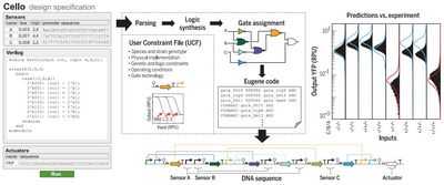Язык программирования для новых биологических схем