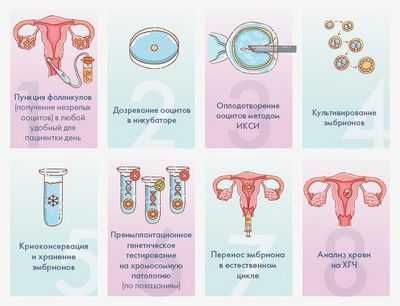 ЭКО с модифицированным естественным циклом более рентабельно и доступно, чем традиционное ЭКО