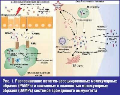Молекулярные паттерны сложных заболеваний
