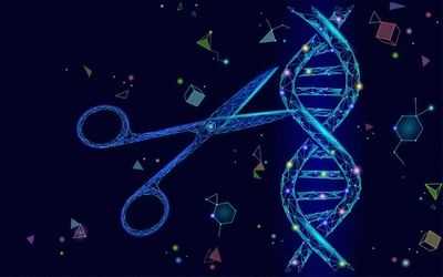 Наука Crispr: новый инструмент для редактирования генома показывает многообещающие перспективы в разработке стволовых клеток человека