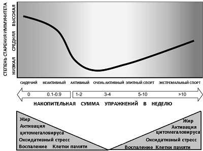 Правильные упражнения могут обратить вспять ущерб от старения сердца