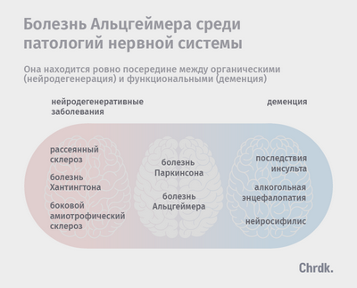 Связь между болезнью Альцгеймера и иммунной системой: исследование добавляет новую тему об участии иммунной системы в болезни Альцгеймера