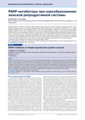 Фермент может быть ключом к прогрессированию рака во многих опухолях