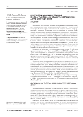 Новая сигнальная роль ключевого белка может способствовать заживлению ран и росту опухоли