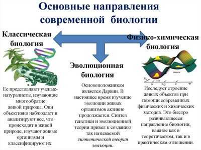 Новое приложение физических инструментов, используемых в биологии