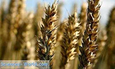 Прогнозы климатической модели говорят последовательную историю