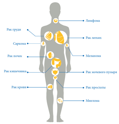 Противораковый препарат может стимулировать иммунную систему бороться с инфекцией