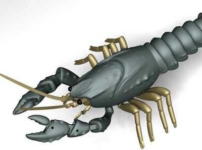 Увидеть рак в 3-D