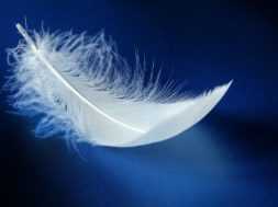 Исследования показывают, что рак легкого можно вылечить с помощью технологии SapC-DOPS