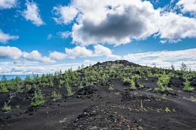 Легочная реабилитация на дому так же эффективна, как и в больнице