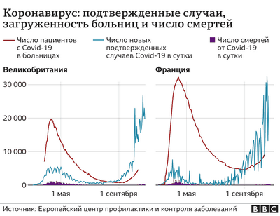 Новые диаграммы для оценки окружности головы при рождении станут ценным инструментом в кризисе, вызванном вирусом Зика
