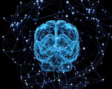 Открытие новых лекарственных мишеней для лечения нарушения памяти при болезни Альцгеймера