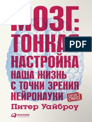 Передача сигналов в головной мозг, находящаяся на грани смерти, ускоряет смерть сердца