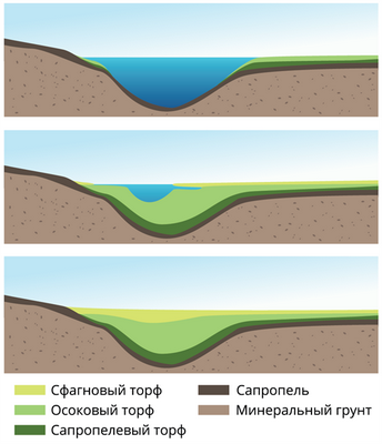 Слои горных пород хранят записи о древних морских приливах возле Блайта, Калифорния: исследователи говорят, что осадочные породы вдоль края долины реки Колорадо имеют регулярные приливные воздействия и указывают на подъем за последние 5 миллионов лет
