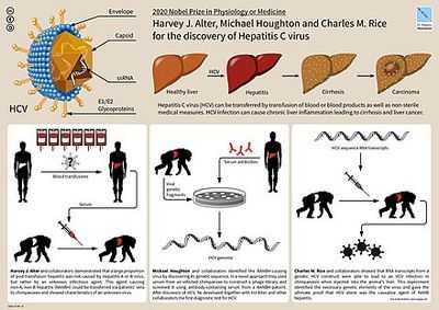 Улучшенное лечение гепатита С может снизить распространенность на 80 процентов
