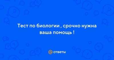 Биоэлектрохимические процессы могут однажды заменить нефтехимию: например, производство лизина