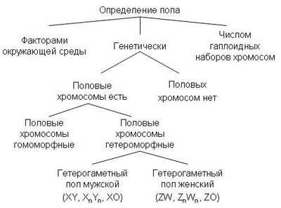 Обнаружен рецептор гормона, который позволяет комарам размножаться