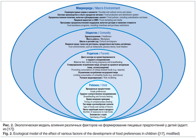 Рецепторы горького вкуса могут быть ключом к управлению преждевременными родами: новое исследование идентифицирует рецепторы горького вкуса матки как потенциальные сдерживающие факторы преждевременных родов