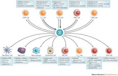 IL-21 восстанавливает иммунную функцию в модели ВИЧ-инфекции у приматов: восстанавливает иммунные клетки кишечника, уменьшает остаточное воспаление