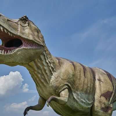 Как динозавры делили трапезу за обеденным столом юрского периода