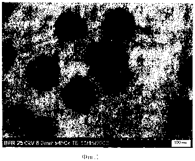 Наночастицы со структурой ядро-оболочка могут минимизировать перегрев клеток во время экспериментов по биовизуализации