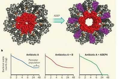 Ученые впервые создали синтетические производные нового антибиотика, который изменит правила игры, который может стать ключом к борьбе с устойчивыми к лекарствам бактериями