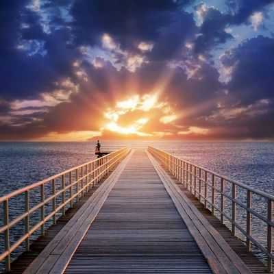 В сумерках и на рассвете: ученые определяют синхронность биологических часов