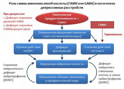 Антидепрессант вызывает ювенильное состояние в нейронах префронтальной коры
