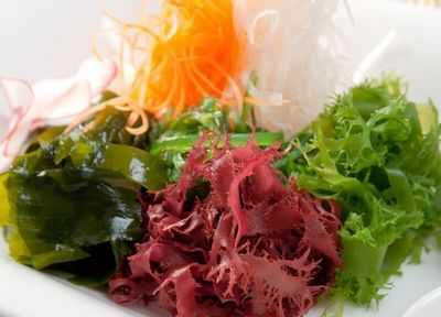 Морские водоросли потенциально могут помочь в борьбе с пищевой аллергией