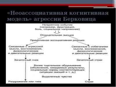 Может ли любовь сделать нас значительными? Исследователи исследуют взаимосвязь между сочувствием и агрессией