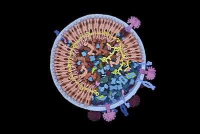 Новый метод сохранения микрофлюидных устройств для мониторинга ВИЧ в развивающихся странах